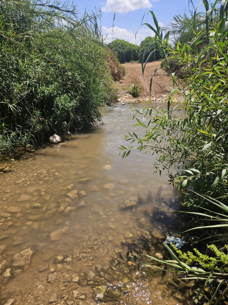 קובץ:2025-05-02T12 38 42.259917677665.jpg