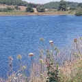 תמונה ממוזערת לגרסה מתאריך 09:45, 2 במאי 2025