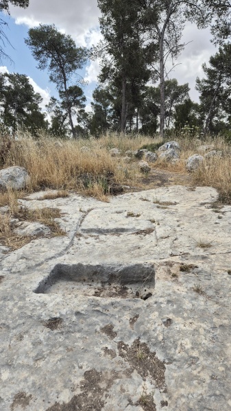 קובץ:2025-05-02T13 17 57.60911384085.jpg