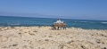 תמונה ממוזערת לגרסה מתאריך 10:25, 2 במאי 2025