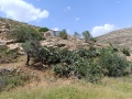 תמונה ממוזערת לגרסה מתאריך 11:46, 2 במאי 2025