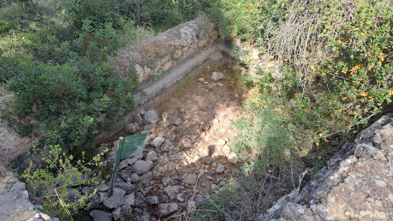 קובץ:2025-05-02T16 06 25.700774714490.jpg