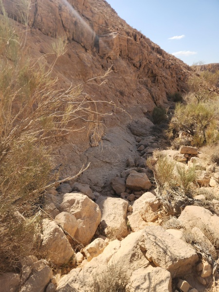 קובץ:2025-05-02T16 14 54.653549273729.jpg
