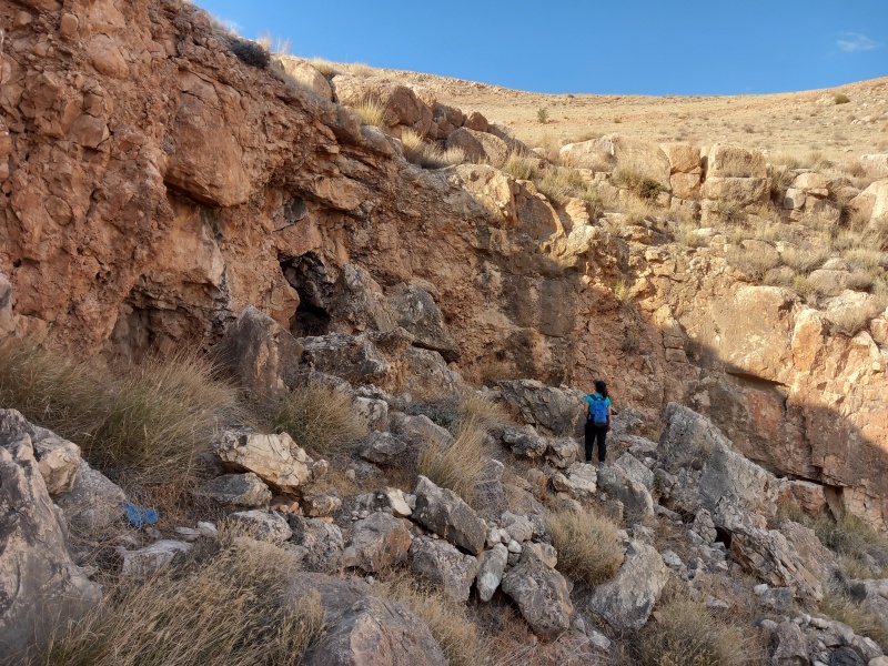 קובץ:2025-05-02T17 05 51.454570991803.jpg