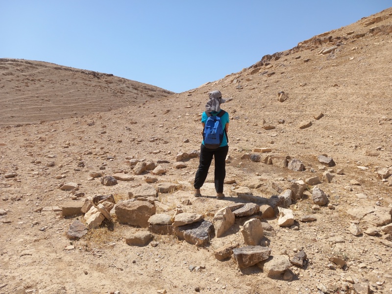 קובץ:2025-05-03T10 38 17.521504926692.jpg