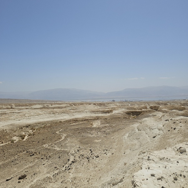 קובץ:2025-05-03T11 09 27.287716533495.jpg