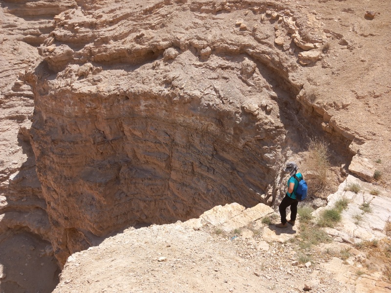 קובץ:2025-05-03T11 45 04.990498610924.jpg