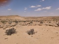 תמונה ממוזערת לגרסה מתאריך 02:02, 4 במאי 2025