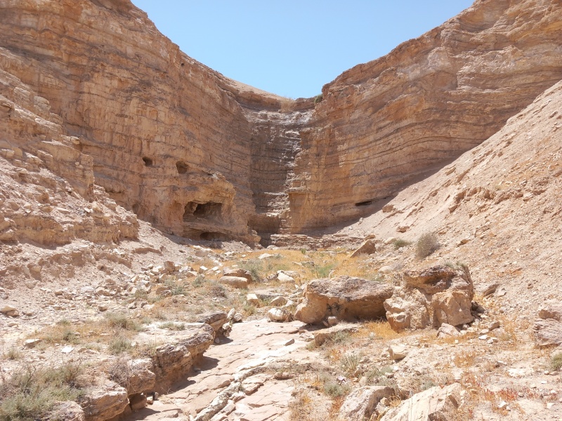 קובץ:2025-05-03T12 01 48.880263390824.jpg