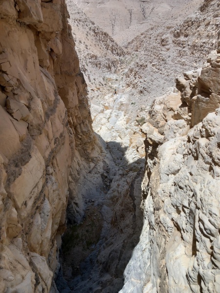 קובץ:2025-05-03T12 32 03.854604611415.jpg