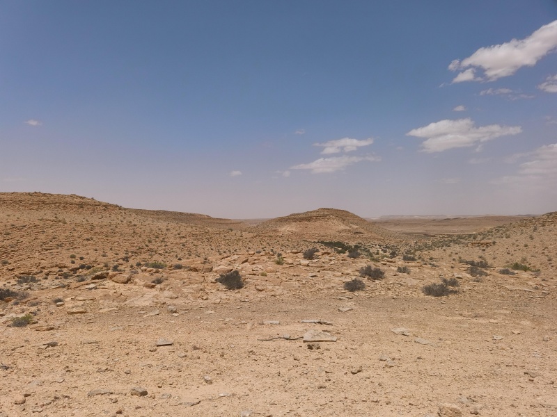 קובץ:2025-05-03T12 49 50.33370250081.jpg