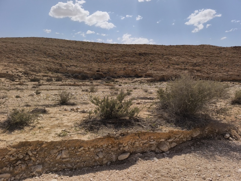 קובץ:2025-05-03T15 11 58.200394335440.jpg