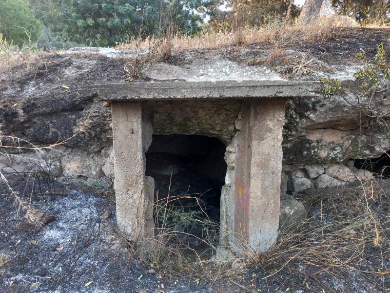 קובץ:2025-05-04T07 11 48.989855841505.jpg