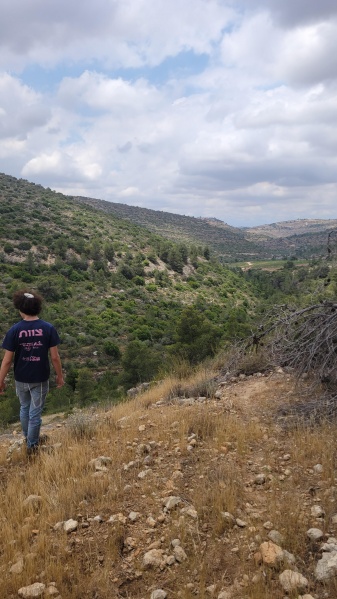 קובץ:2025-05-04T12 46 55.856412936807.jpg