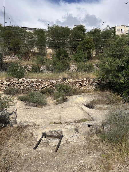 קובץ:2025-05-04T15 38 32.553012395412.jpg