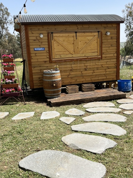 קובץ:2025-05-04T18 15 40.135914888483.jpg