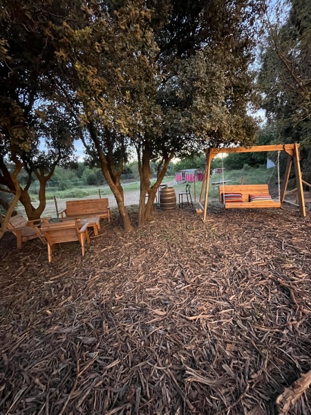 קובץ:2025-05-04T18 35 48.899153569430.jpg