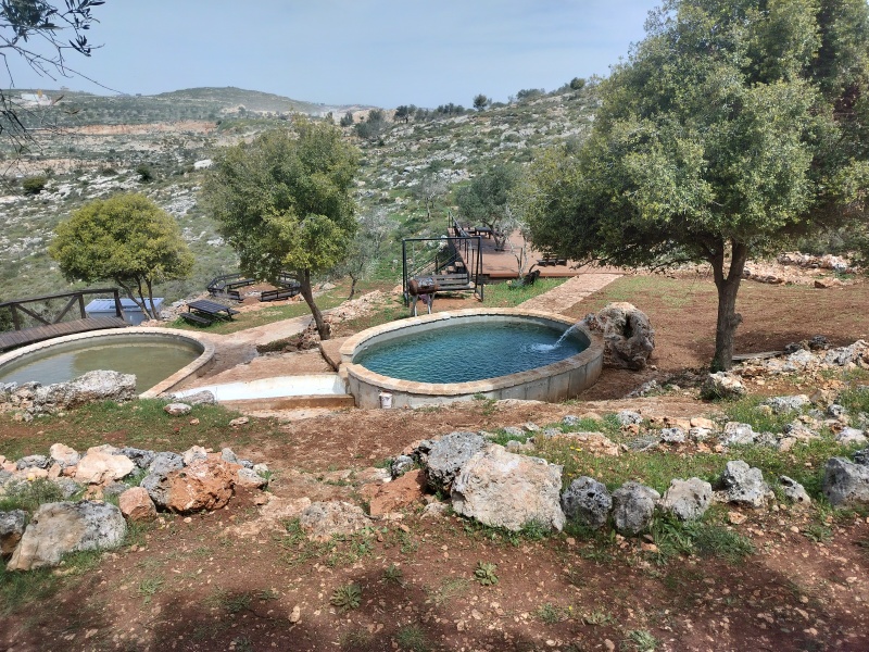 קובץ:2025-05-04T22 32 55.367147788677.jpg