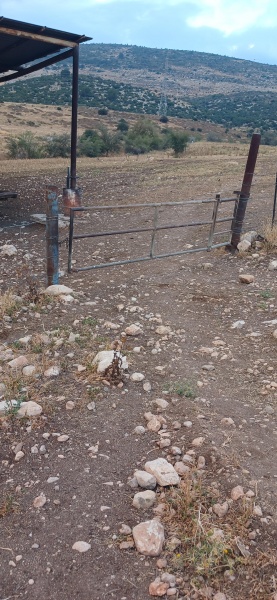 קובץ:2025-05-05T06 17 32.291030603545.jpg