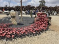 תמונה ממוזערת לגרסה מתאריך 07:52, 5 במאי 2025