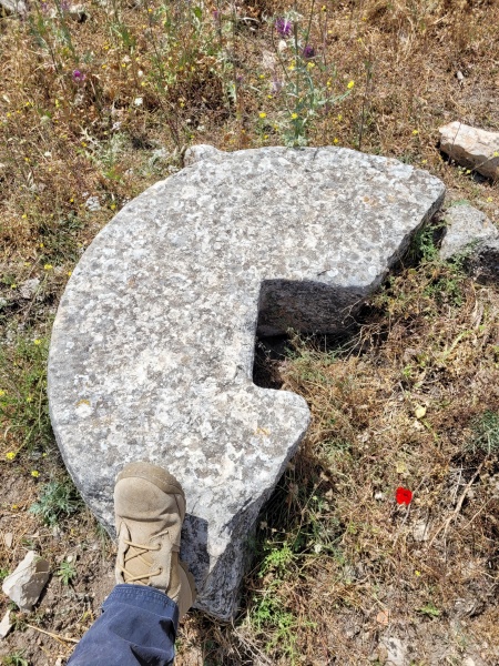 קובץ:2025-05-05T12 28 57.887818734745.jpg