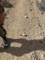 תמונה ממוזערת לגרסה מתאריך 08:26, 6 במאי 2025
