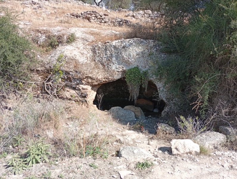 קובץ:2025-05-05T15 57 43.101451784123.jpg