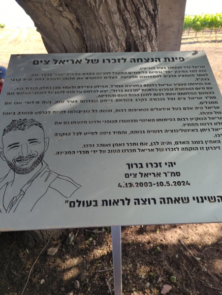 קובץ:2025-05-06T08 15 05.732139429147.jpg