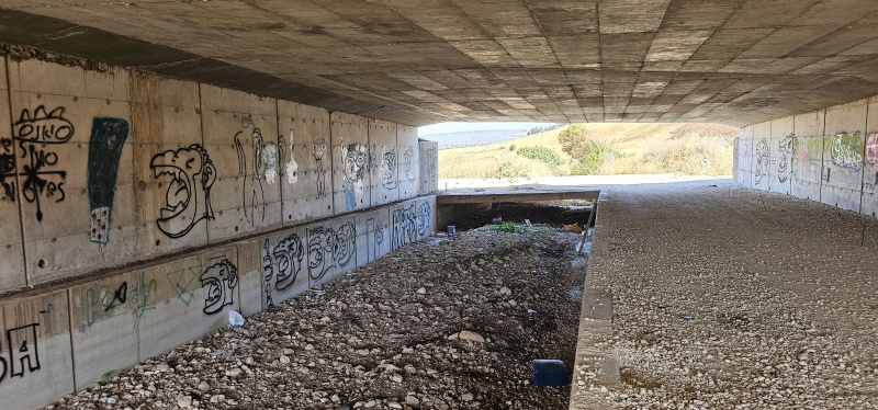 קובץ:2025-05-06T08 35 00.449409403347.jpg