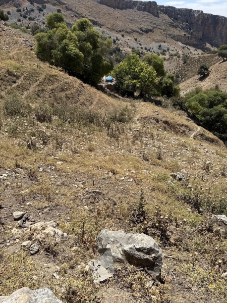 קובץ:2025-05-06T11 39 33.504233439670.jpg