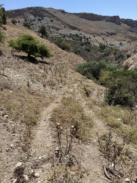 קובץ:2025-05-06T12 06 31.371626603079.jpg