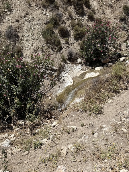קובץ:2025-05-06T12 07 29.596489338393.jpg