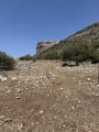 תמונה ממוזערת לגרסה מתאריך 13:39, 12 במאי 2025