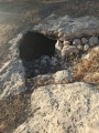 תמונה ממוזערת לגרסה מתאריך 14:48, 6 במאי 2025