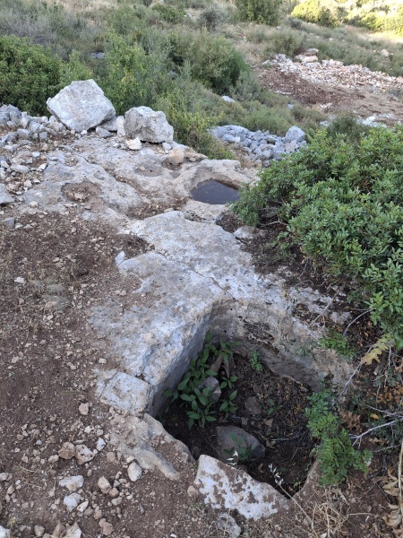 קובץ:2025-05-06T18 14 24.294254385082.jpg