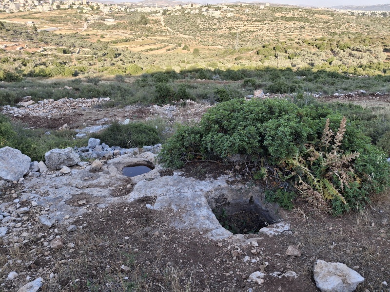 קובץ:2025-05-06T18 14 45.92473443908.jpg
