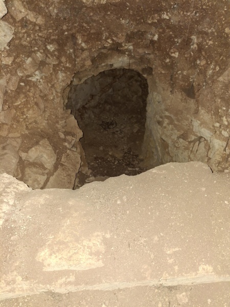 קובץ:2025-05-06T18 20 04.398177457466.jpg