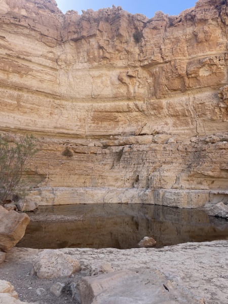 קובץ:2025-05-07T09 25 01.077260611891.jpg