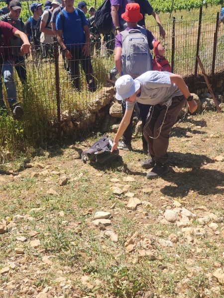 קובץ:2025-05-07T11 01 09.479797340195.jpg