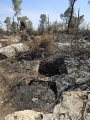 תמונה ממוזערת לגרסה מתאריך 12:16, 7 במאי 2025