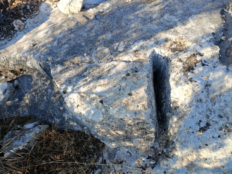קובץ:2025-05-07T18 00 31.378977528377.jpg