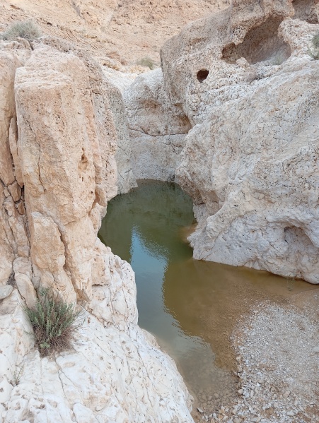 קובץ:2025-05-07T18 44 56.864228702329.jpg