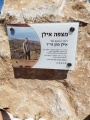 תמונה ממוזערת לגרסה מתאריך 06:57, 8 במאי 2025