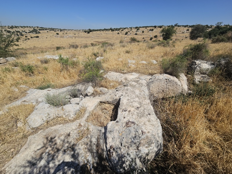 קובץ:2025-05-08T10 34 47.21033689073.jpg