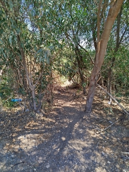 קובץ:2025-05-08T12 41 45.736083905319.jpg