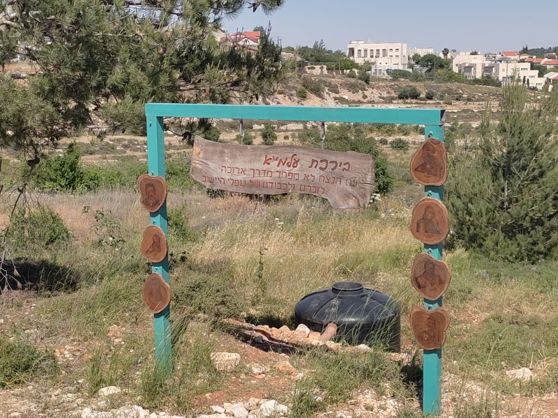 קובץ:2025-05-08T15 13 25.431394791888.jpg