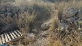 תמונה ממוזערת לגרסה מתאריך 12:38, 8 במאי 2025