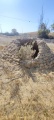 תמונה ממוזערת לגרסה מתאריך 12:52, 8 במאי 2025