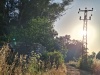 2025-05-08T18 25 37.532615227688.jpg