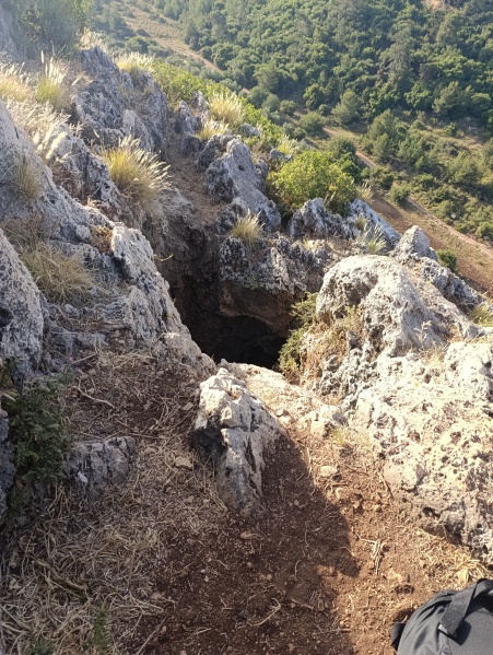 קובץ:2025-05-09T07 28 32.524764719218.jpg